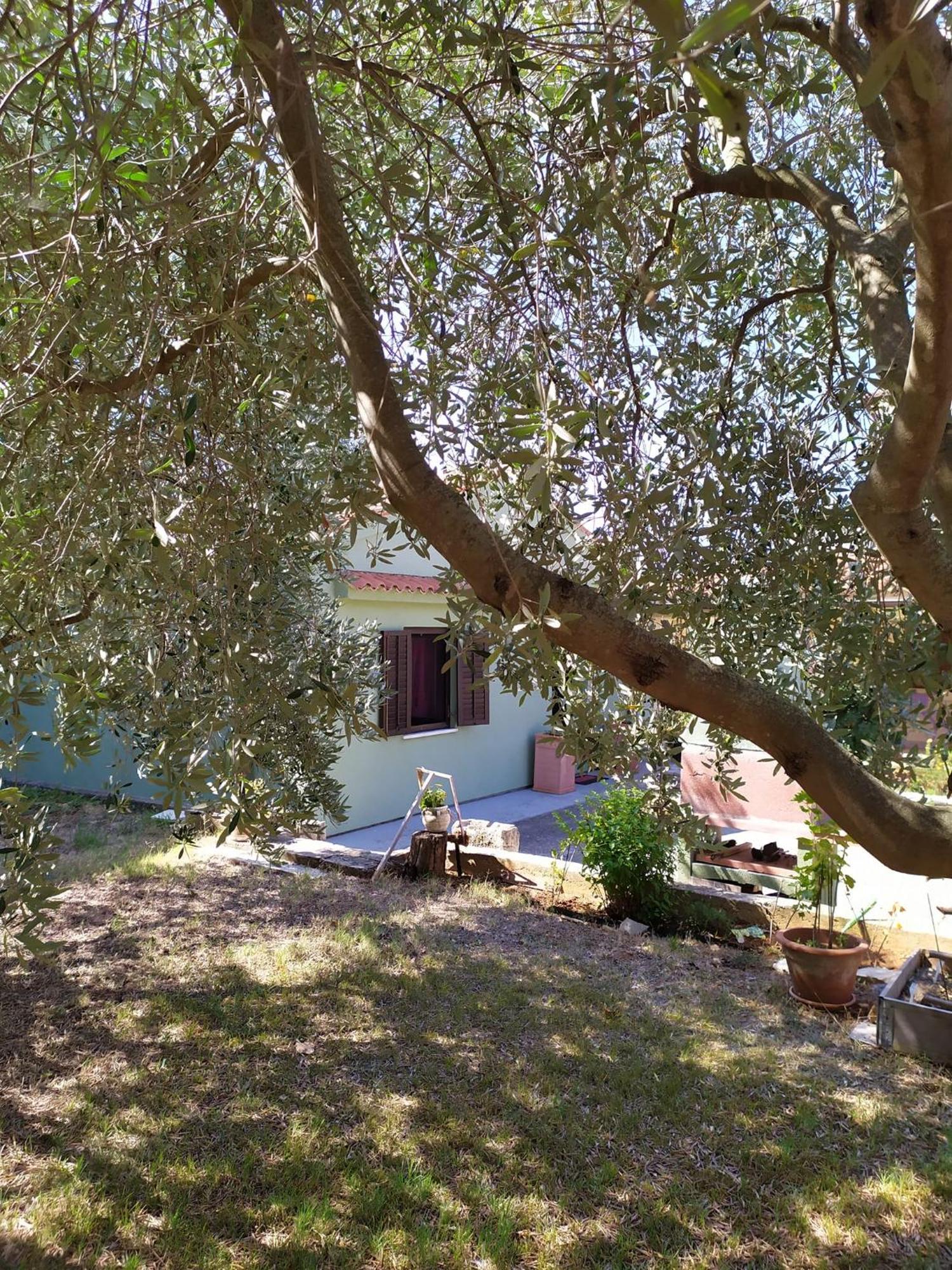 Apartmani Tara Medulin Bagian luar foto