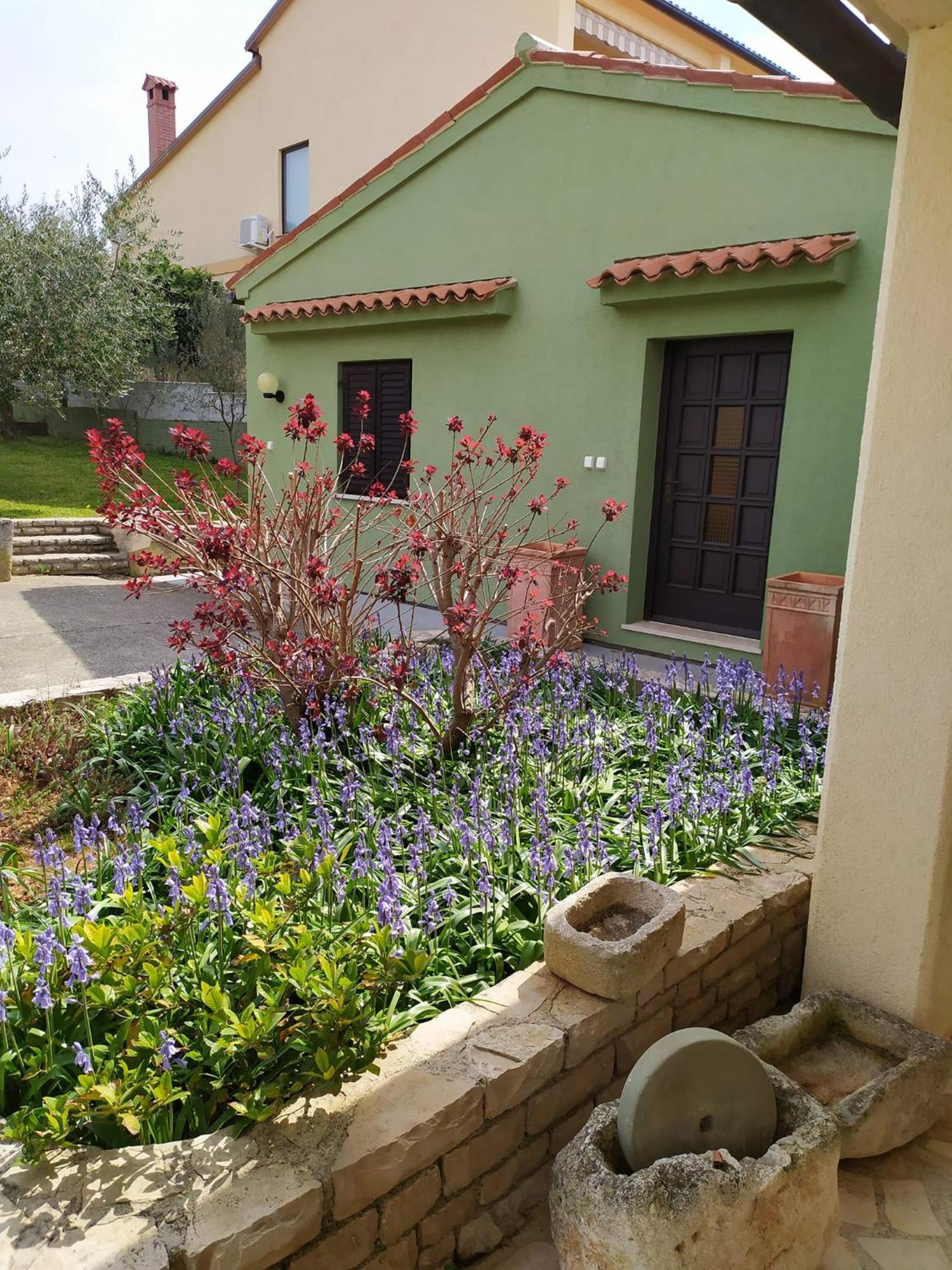 Apartmani Tara Medulin Bagian luar foto